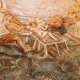 Quelli pi� antichi in realt� non sono riconoscibili, mentre quelli del XVII secolo rivelano diverse figure religiose. Distinguiamo quindi la scena del martirio di San Lorenzo...